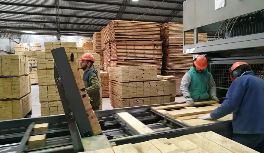 Crisis en Misiones: cerr&oacute; el aserradero Linor SRL y los trabajadores bloquean la salida de maquinaria por temor a un vaciamiento