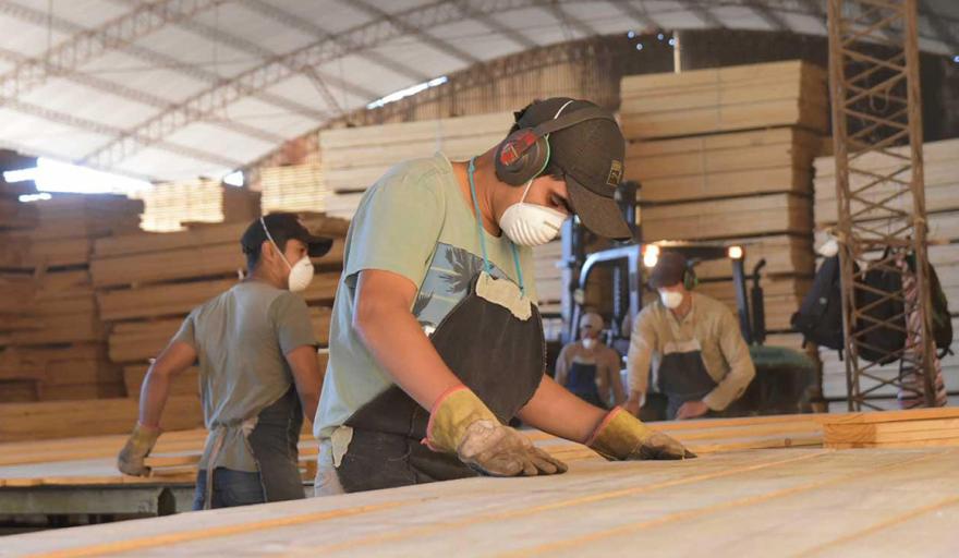 Industria maderera: el empleo calificado cay&oacute; 8,57% y crece la preocupaci&oacute;n por la p&eacute;rdida de oficios