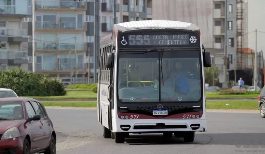 Mar del Plata sin colectivos: la UTA inici&oacute; un paro por tiempo indeterminado por falta de pago de salarios