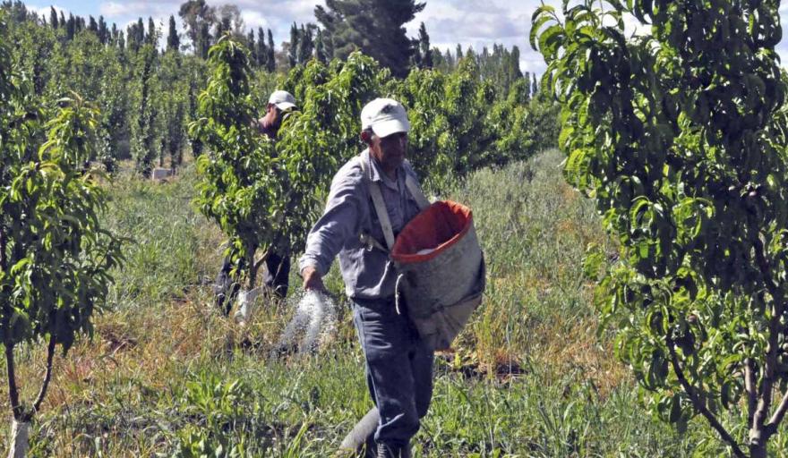 Salud dio de baja la obra social del Sindicato de la Fruta y puso en crisis a la de la Madera en Concordia