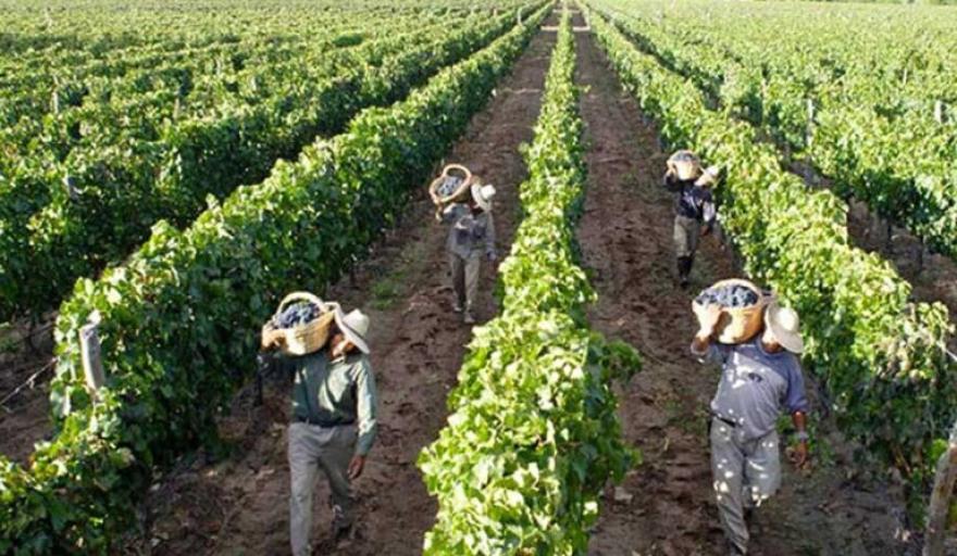 La crisis del consumo golpea a la vitivinicultura: ya son tres las bodegas con graves problemas financieros