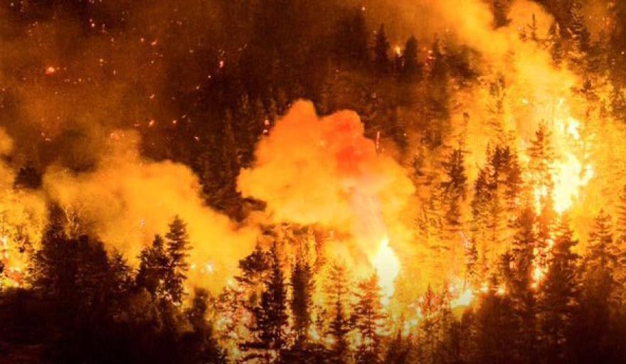 En plena emergencia por los incendios, brigadistas de Chubut reclamaron a Milei mejores salarios y estabilidad laboral