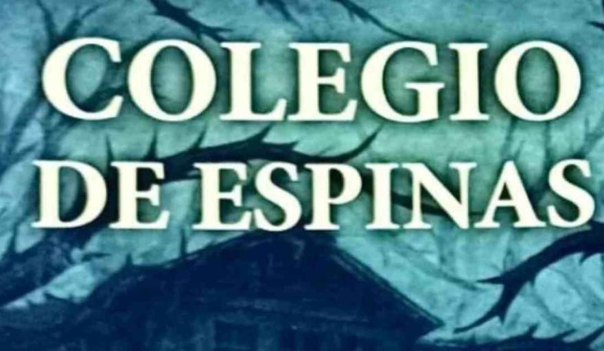 Una adolescente de La Plata escribi&oacute; un libro sobre el bullying que sufri&oacute;: &ldquo;Colegio de Espinas&rdquo;