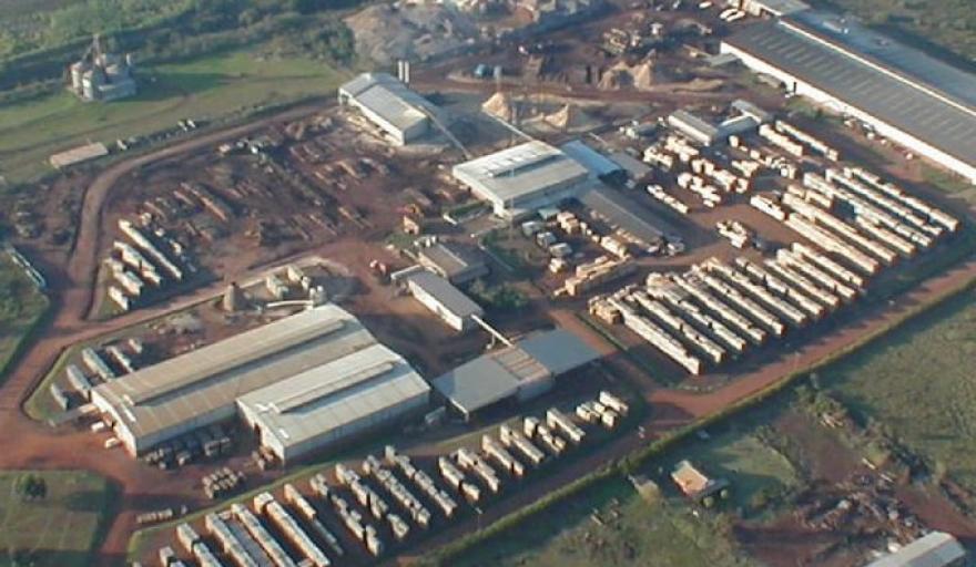 Preocupaci&oacute;n y paralizaci&oacute;n del grupo Forestadora Tapebicu&aacute;