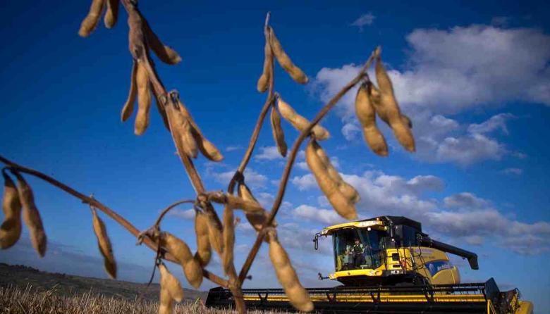 La primarizaci&oacute;n se afianza en la econom&iacute;a argentina