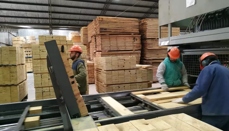 Crisis en Misiones: cerr&oacute; el aserradero Linor SRL y los trabajadores bloquean la salida de maquinaria por temor a un vaciamiento