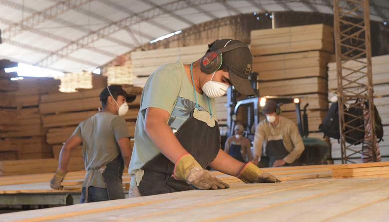 Industria maderera: el empleo calificado cay&oacute; 8,57% y crece la preocupaci&oacute;n por la p&eacute;rdida de oficios