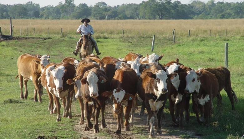 Se venci&oacute; el r&eacute;gimen que permit&iacute;a a los trabajadores rurales cobrar planes sociales sin perder el empleo formal