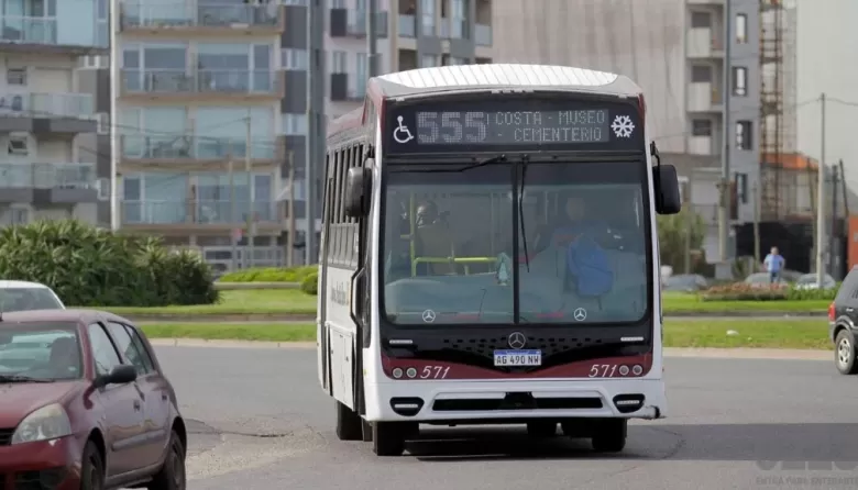 Mar del Plata sin colectivos: la UTA inici&oacute; un paro por tiempo indeterminado por falta de pago de salarios