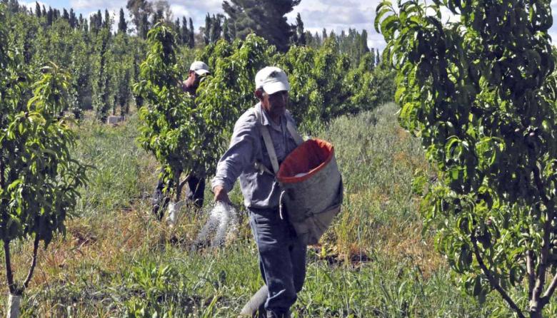 Salud dio de baja la obra social del Sindicato de la Fruta y puso en crisis a la de la Madera en Concordia
