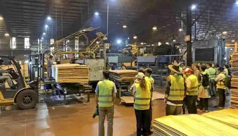 Crisis en la forestoindustria correntina: Tapebicuá suspende por 30 días su producción y deja a 520 operarios sin actividad