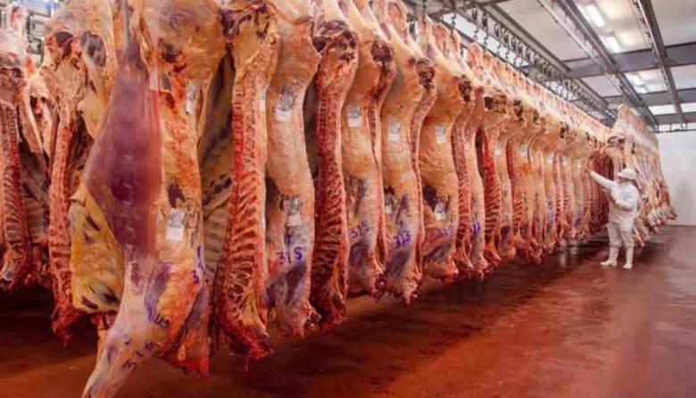 Tragedia laboral en La Plata: un trabajador murió mientras realizaba tareas en el frigorífico de Gorina