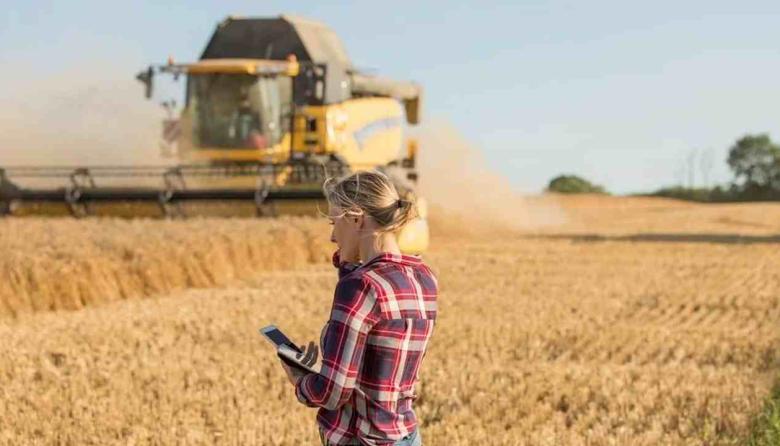 Uno de cada tres trabajadores en Argentina es pobre: el agro, la construcción y el servicio doméstico, los más afectados