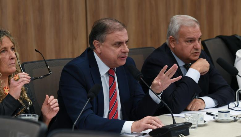 Br&uuml;gge propone penas graves para los responsables de da&ntilde;os por ataques de perros peligrosos