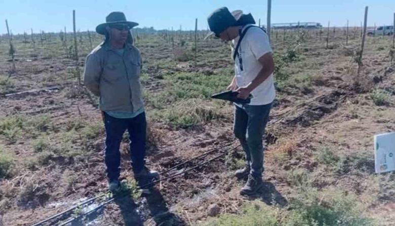 Contin&uacute;a el empleo informal y crece la preocupaci&oacute;n en el sector agropecuario