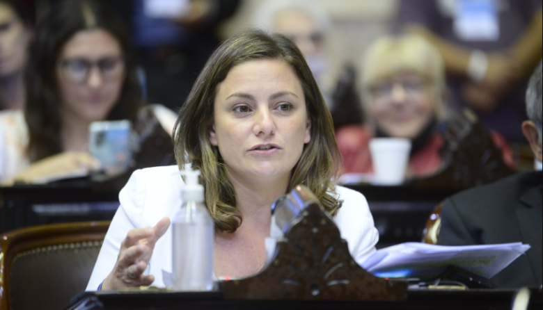 Vanesa Siley impulsa juicio político a Arroyo Salgado: "Usó su cargo para perseguir militantes"