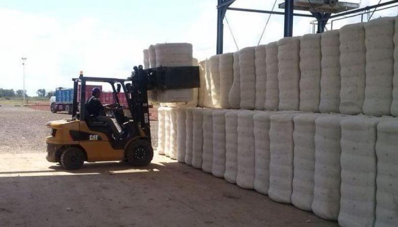 Paro nacional en el sector algodonero: trabajadores aceiteros y desmotadores lanzan huelga por falta de acuerdo salarial
