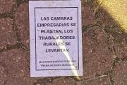 El "plant&oacute;n" de los millones: la hipocres&iacute;a de Voytenco pagada con la plata de los peones rurales