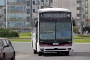 Mar del Plata sin colectivos: la UTA inici&oacute; un paro por tiempo indeterminado por falta de pago de salarios