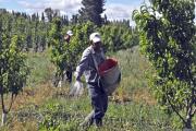 Salud dio de baja la obra social del Sindicato de la Fruta y puso en crisis a la de la Madera en Concordia